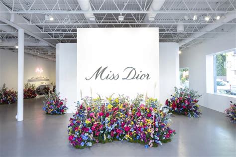 Dream In Dior Pop Up 